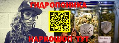гашик Берёзовский