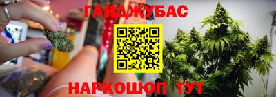 гашик Берёзовский