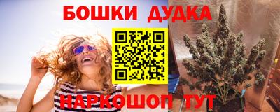 гашик Берёзовский