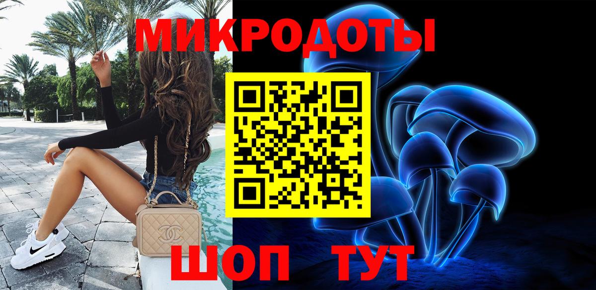 Псилоцибиновые грибы Psilocybe  купить наркоту  Кизляр  Вход с VPN  Галлюциногенные грибы Psilocybe 